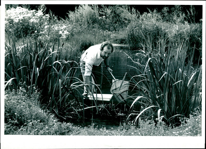 Colin Piper, Nature Study Scheme - Vintage Photograph