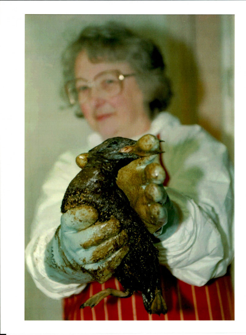 The Sea Empress Oil Tanker, Oil Spill,  Annette Stennett - Vintage Photograph