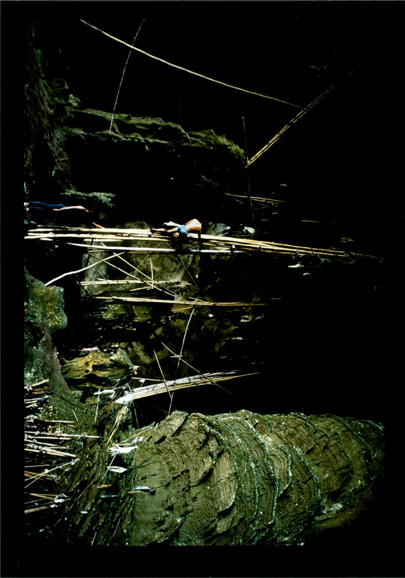 Sea Gyrsy collecting birds nest thailand. - Vintage Photograph