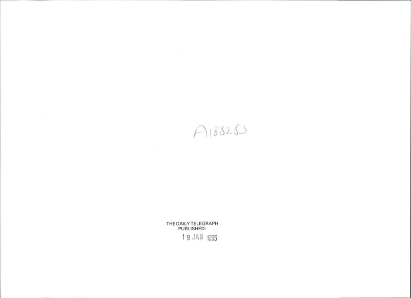 Patricia Dunn's Dog Kim - Vintage Photograph