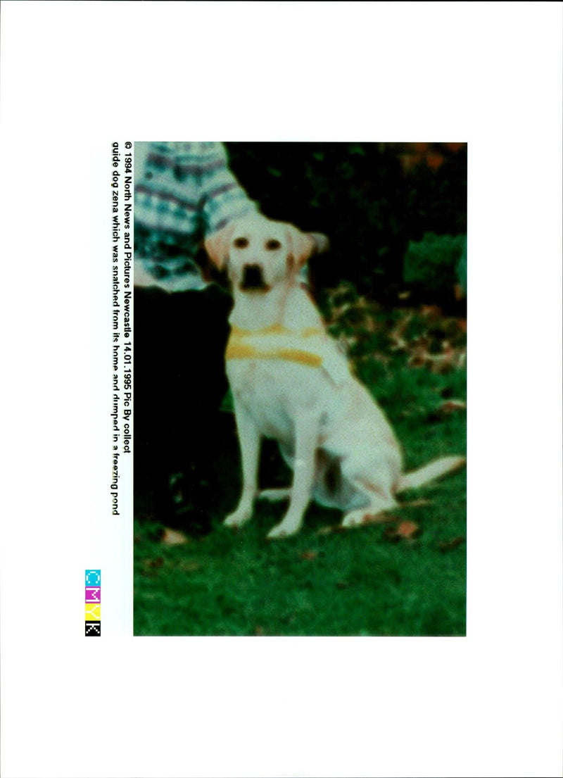 Jean Thomas - Vintage Photograph