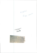 Gardening from 1974 - Vintage Photograph