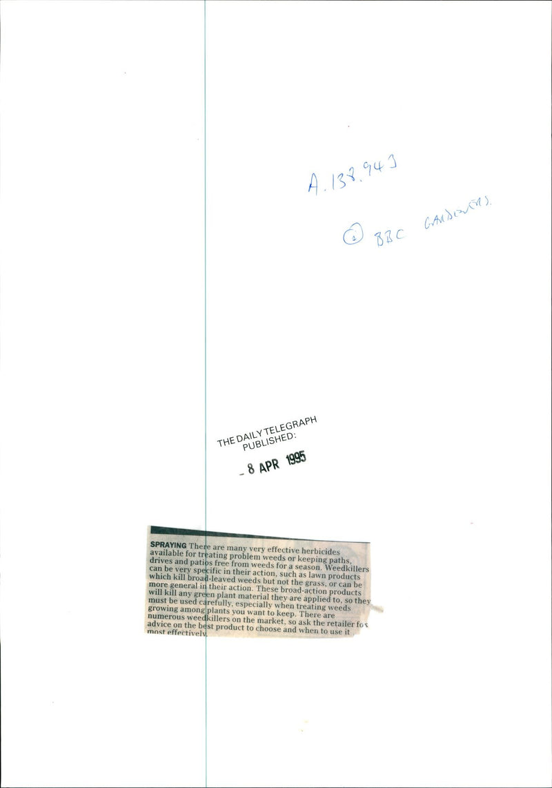 Gardening from 1974 - Vintage Photograph