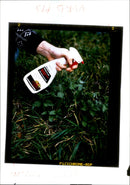 Gardening from 1974 - Vintage Photograph