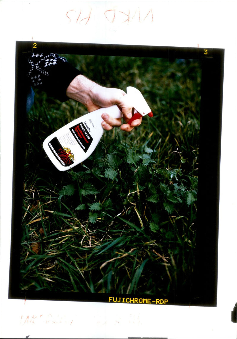 Gardening from 1974 - Vintage Photograph