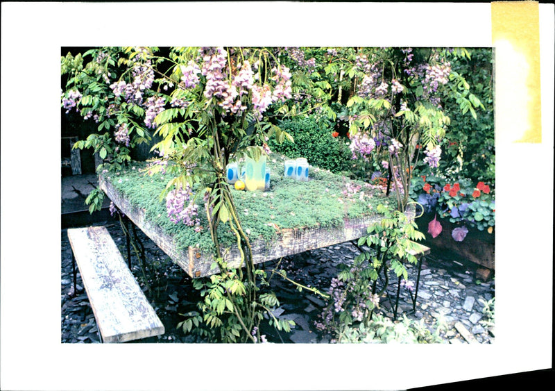 Gardening from 1974 - Vintage Photograph