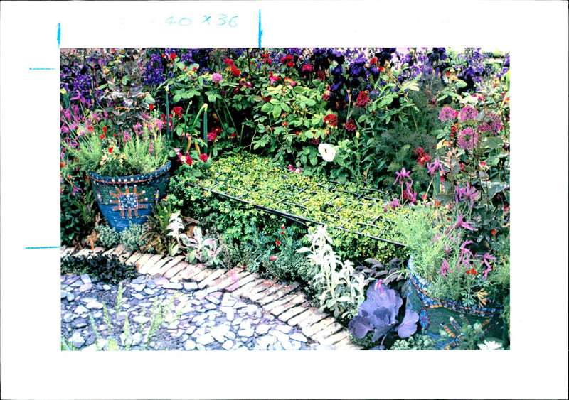 Gardening - Vintage Photograph