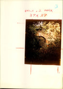 Gardening from 1974 - Vintage Photograph