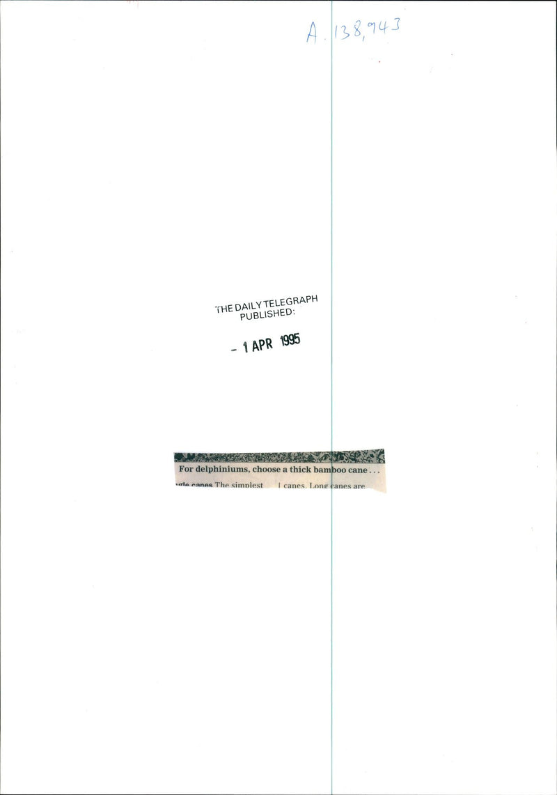 Gardening - Vintage Photograph