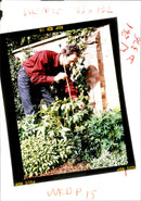 Gardening - Vintage Photograph