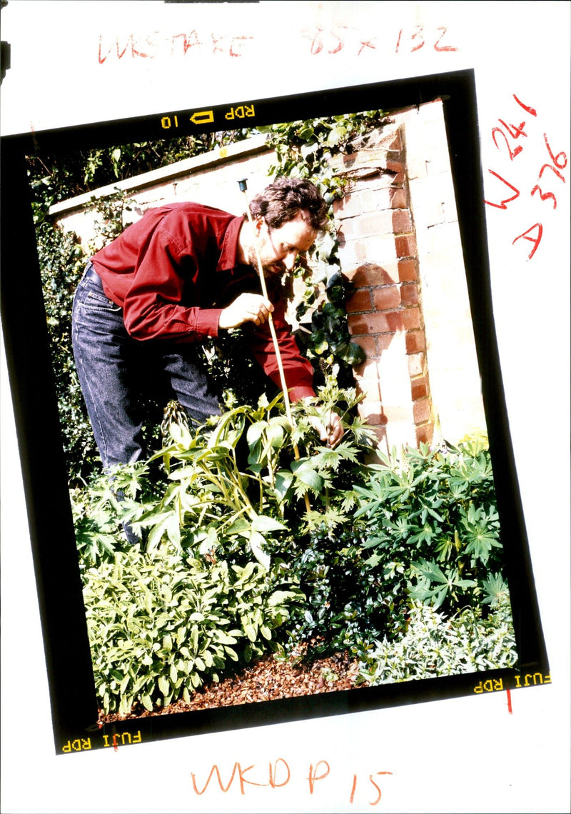 Gardening - Vintage Photograph