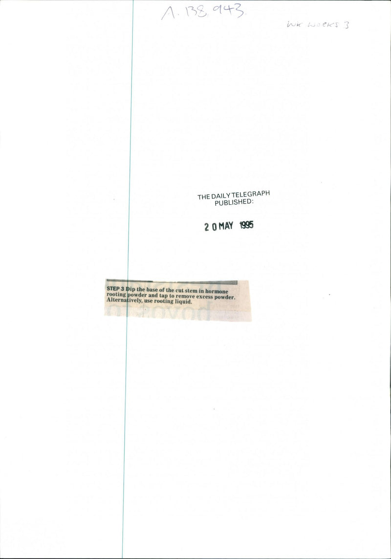 Gardening - Vintage Photograph