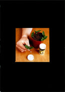 Gardening - Vintage Photograph