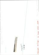 Keith Hainge in his garden - Vintage Photograph