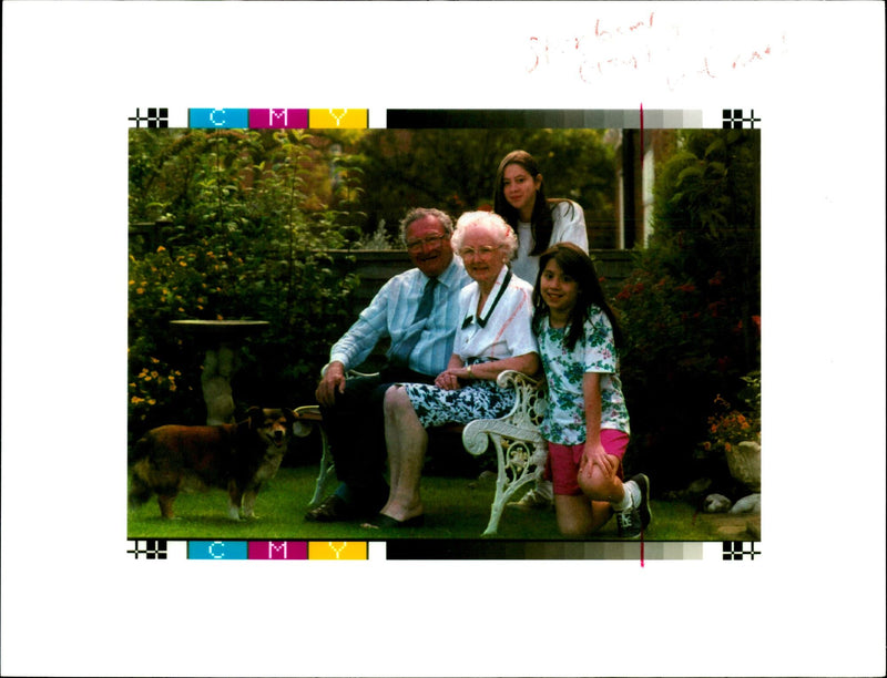 UU I
THE DAILY TEL PUBLISH 13 FEB AS2684 ILY TELEGRAPH JBLISHED m2 Keme - Vintage Photograph