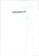 Part of the four-in-one British garden - Vintage Photograph