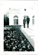 Part of the four-in-one British garden - Vintage Photograph