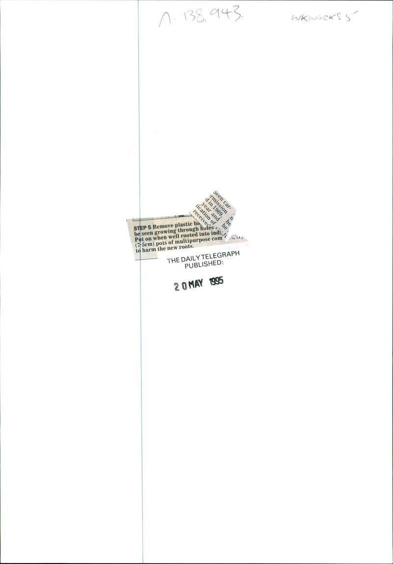 Gardening - Vintage Photograph