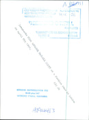 Debutante Miss Annabel Maxwell Scott - Vintage Photograph