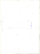 Picture in the LinkÃ¶ping Museum. Landscape - Vintage Photograph