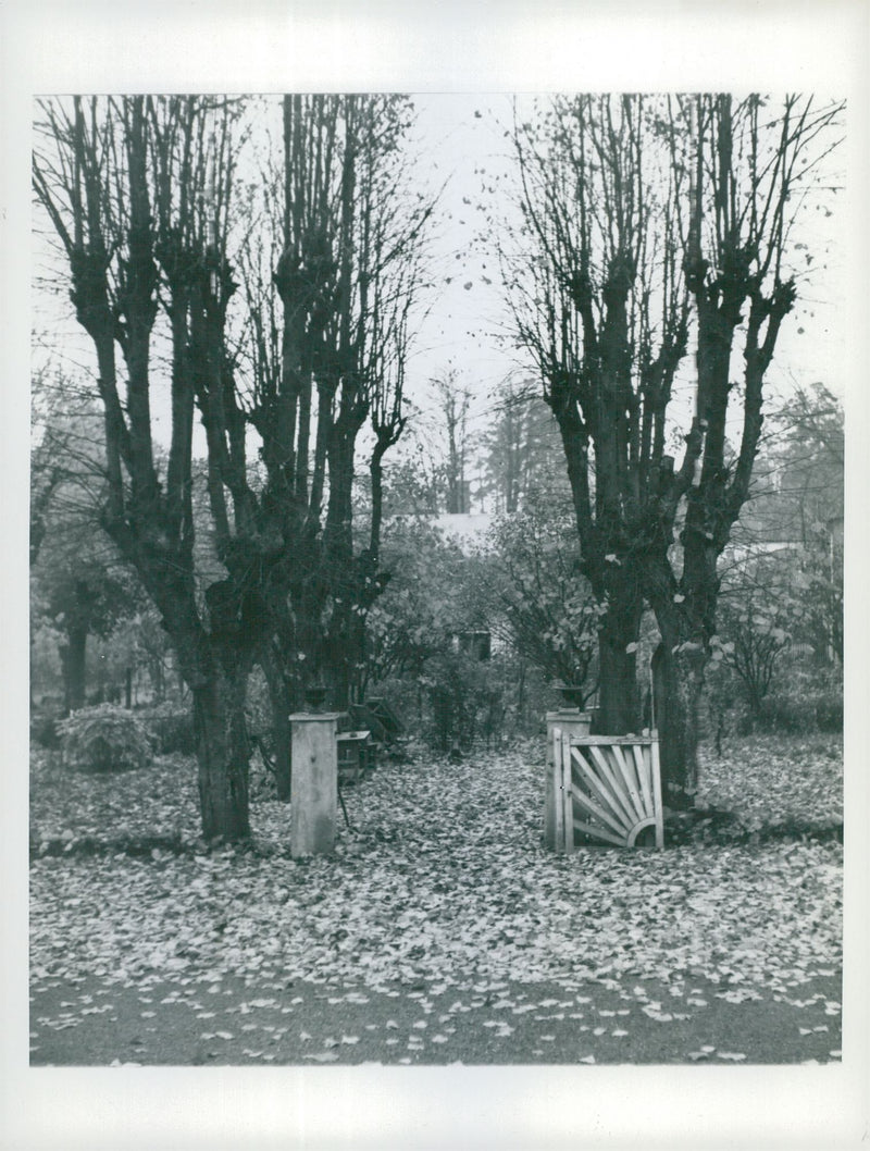 MariehÃ¤ll. The avenue in the middle of the main entrance - Vintage Photograph