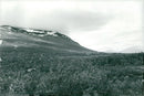Abisko National Park - Vintage Photograph