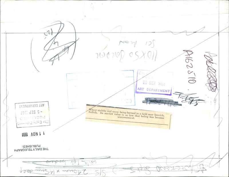 Stubble Burning - Vintage Photograph