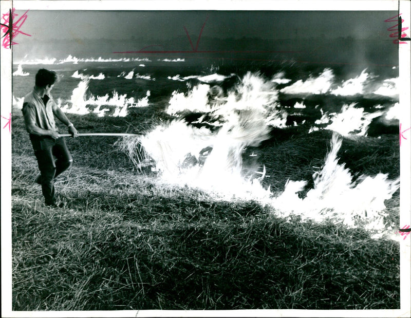 Stubble Burning - Vintage Photograph