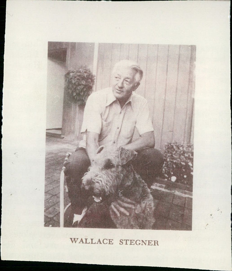 WALLACE STEGNER THE AMERICAN WRITER WHO HAS DIED AGED DISCOVERED PUBLISHED - Vintage Photograph
