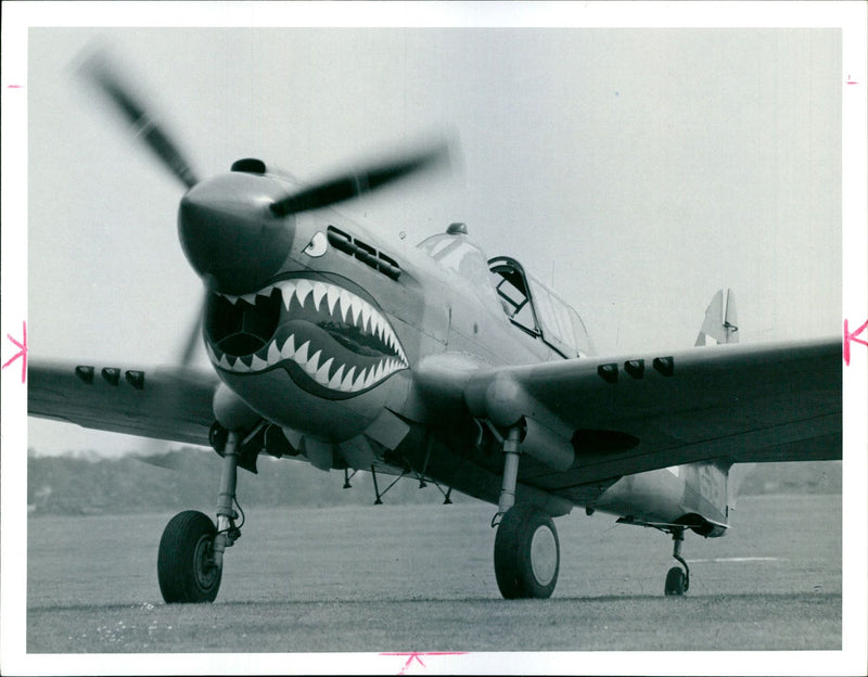 Aircraft: P-40 Kittyhawk. - Vintage Photograph