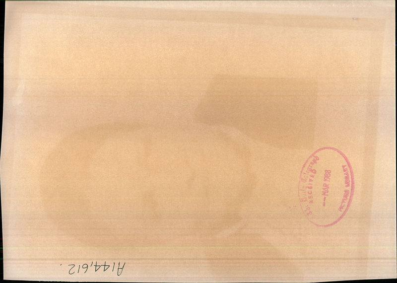 KASSIM LACHAAL MURDERED HIS BEAUTIFUL WIFE LATIFA THEN BUTCHERED HER BODY - Vintage Photograph