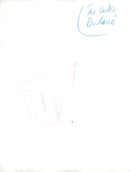 A dog and a cat at DalarÃ¶ - Vintage Photograph