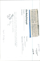 Ocelot Animal - Vintage Photograph