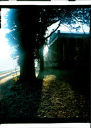 Stowe Landscape Gardens - Vintage Photograph