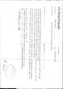 THE EDUCATION MINISTER MRS JOHN COGILL COGIIL DALE MUSIC MEMBERS ROYAL - Vintage Photograph