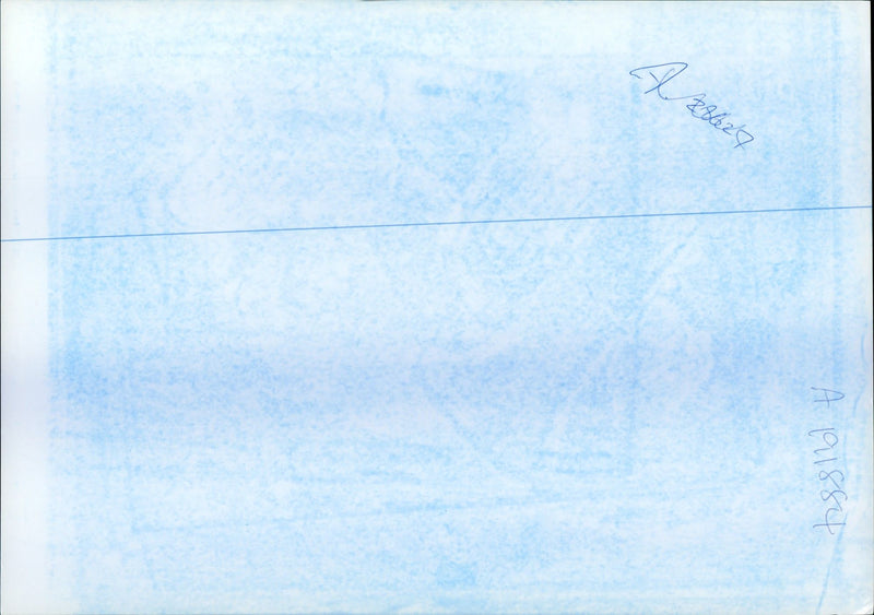 AASA PIC TIM SMITH GUZELAN MEMBERS HAMPSHIRE COTYUTH TRA MUSIC FESTIVAL - Vintage Photograph