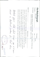 1990 LUROPES LARGEST YOUTH MUSIC FESTIVAL CELEBRATES ITS TWENTIETH TONY PRIME - Vintage Photograph