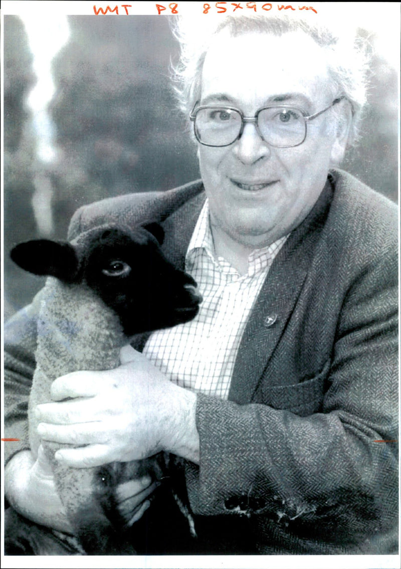 PROF MICHAEL TISDALE SAID STAYING NATURE KEPT HIM ING LAMBS PUBLISHED - Vintage Photograph
