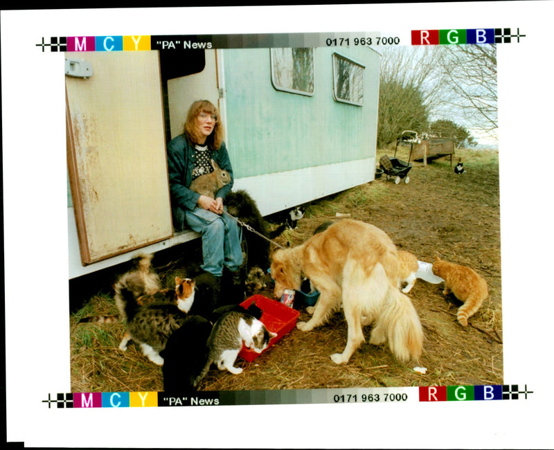 1995 ANN KELLY ANNE HADDOW LOOKS AFTER ANIMALS CHRIS BACON WRITER COUNTRY - Vintage Photograph