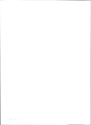 1995 THE JET WAS DRIVEN MILES ALONG WRONG WAY THREE JETS POLICE - Vintage Photograph