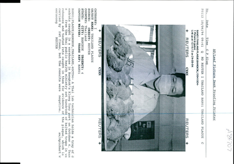 1994 THE THAI PUBLIC HEALTH MINISTRY SET HUNDREDS BAITED TRAPS WRITER COUNTRY - Vintage Photograph