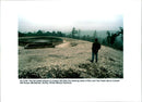 1995 THE NUDED SLOPES JUNIPER HILL AFTER CLEARING AWAY MARTIN HAYHOW - Vintage Photograph