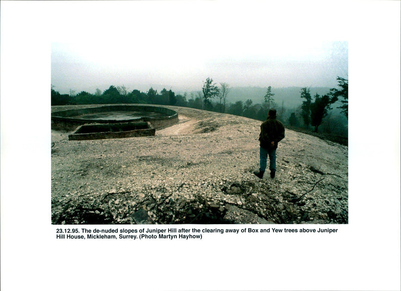 1995 THE NUDED SLOPES JUNIPER HILL AFTER CLEARING AWAY MARTIN HAYHOW - Vintage Photograph