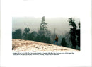 1995 JUNIPER HILL THE NUDED SLOPES AFTER MARTIN HAYHOW - Vintage Photograph