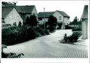 LANDSCAPE DESIGN SALVESEN HOMES THE STONEBRIDGE CLOSE PLANTING - Vintage Photograph