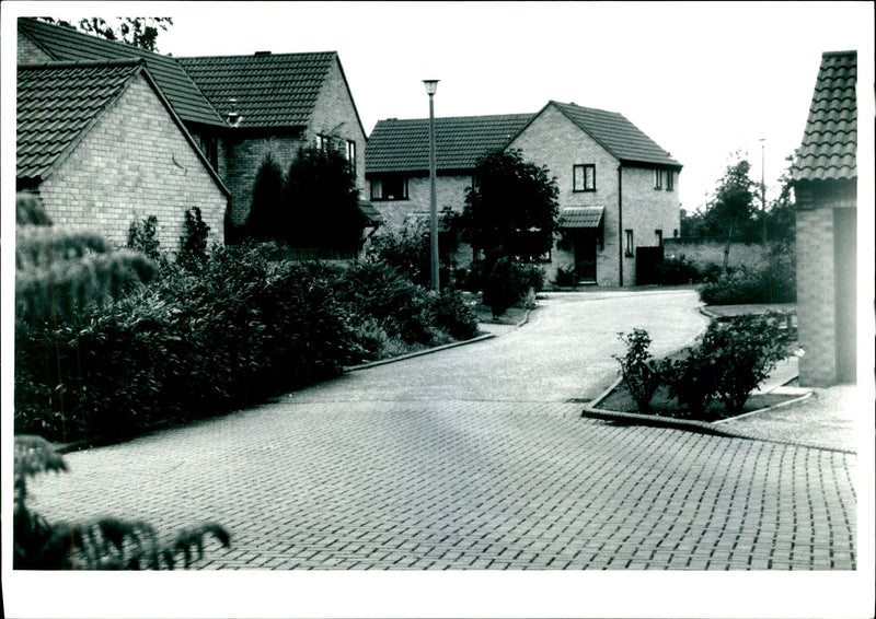 LANDSCAPE DESIGN SALVESEN HOMES THE STONEBRIDGE CLOSE PLANTING - Vintage Photograph