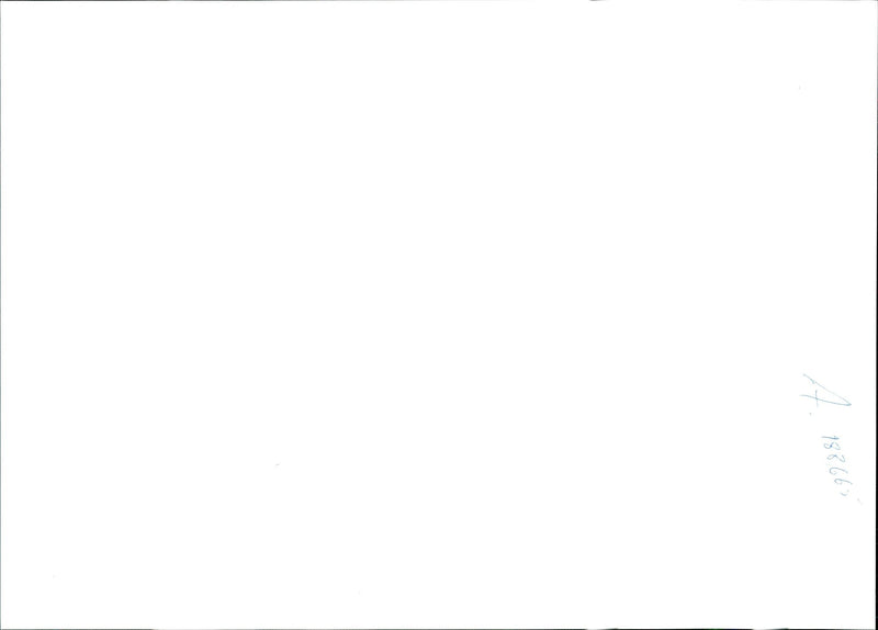 1995 YEAROLD BOY CHARGED WITH MURDERIG LYONS HUMPHREY AMANDA SHAUN - Vintage Photograph