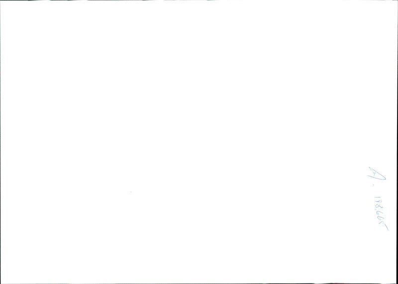 1995 AMADA WAGG CHARGED WITH MURDERIG HER YEAROLD LYONS AMANDA SHAUN - Vintage Photograph