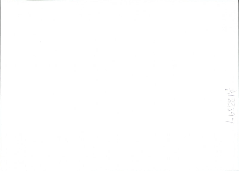 HELENA HOWARD HAS BEEN ARRESTED SUSPECTED MURDER BOB FIELD THE PARTNE - Vintage Photograph