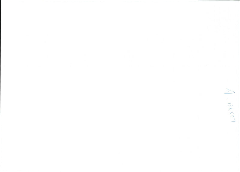 HELENA HOWARD HAS BEEN ARRESTED SUSPECTED MURDER BOB FIELD THE PARTNE - Vintage Photograph